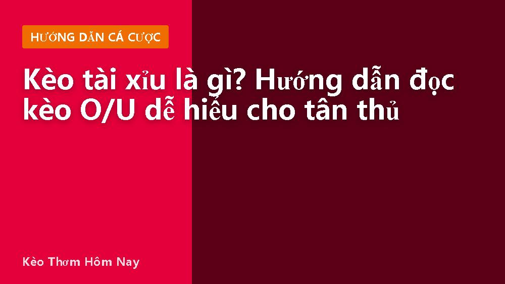 Kèo tài xỉu là gì? Hướng dẫn đọc kèo O/U dễ hiểu cho tân thủ